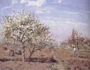 Camille Pissarro Flowering frukttradgard Louveciennes painting